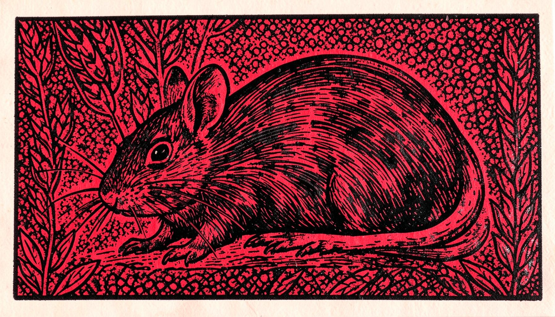 Linograbado en tinta negra y gris oscuro de una rata estilizada con trazos enérgicos, sobre un fondo texturizado con motivos de granos y espigas, atmósfera nocturna y misteriosa.
